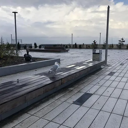 Apartment Jacek Kolberg