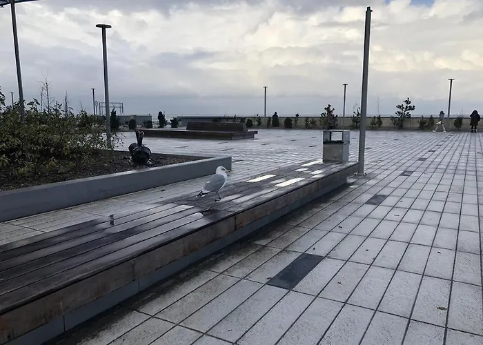 Apartment Jacek Kolberg